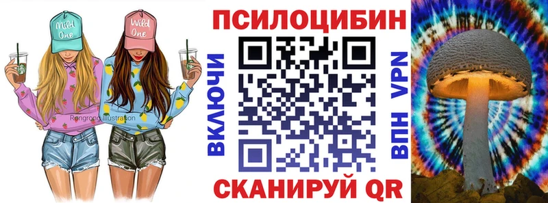 Псилоцибиновые грибы Psilocybine cubensis  цена   Спасск 